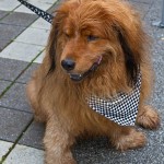 5678424022_bd1a5978bb_z