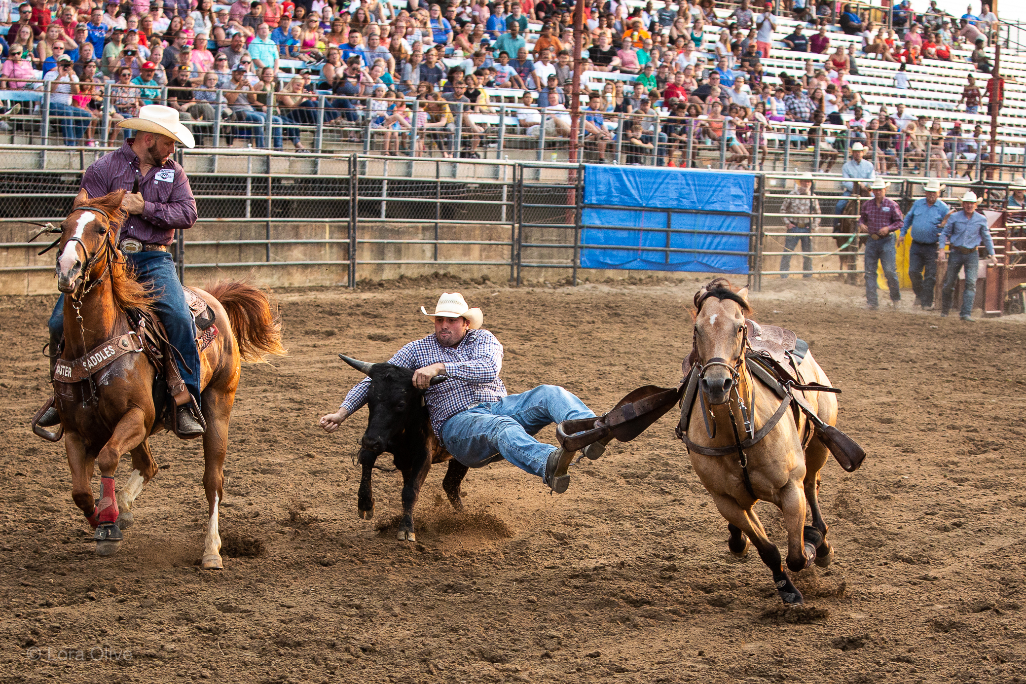 Indiana State Fair Championship Rodeo Live Pix Live