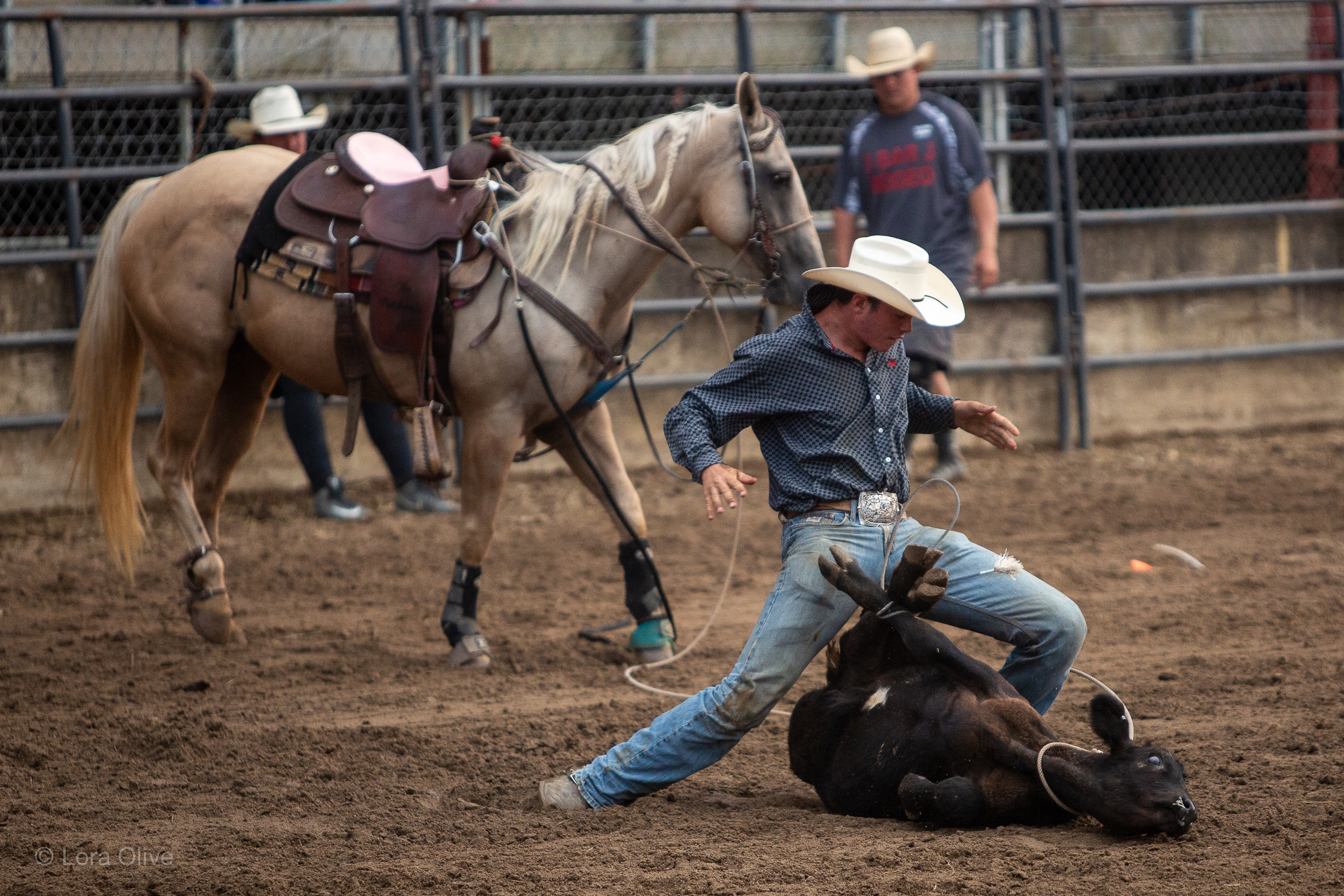 Indiana State Fair Championship Rodeo Live Pix Live