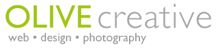 Chameleon Logo