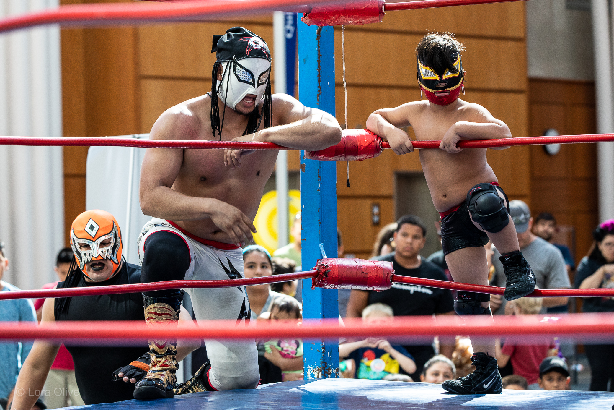 Lucha Libro Festival at Central Library