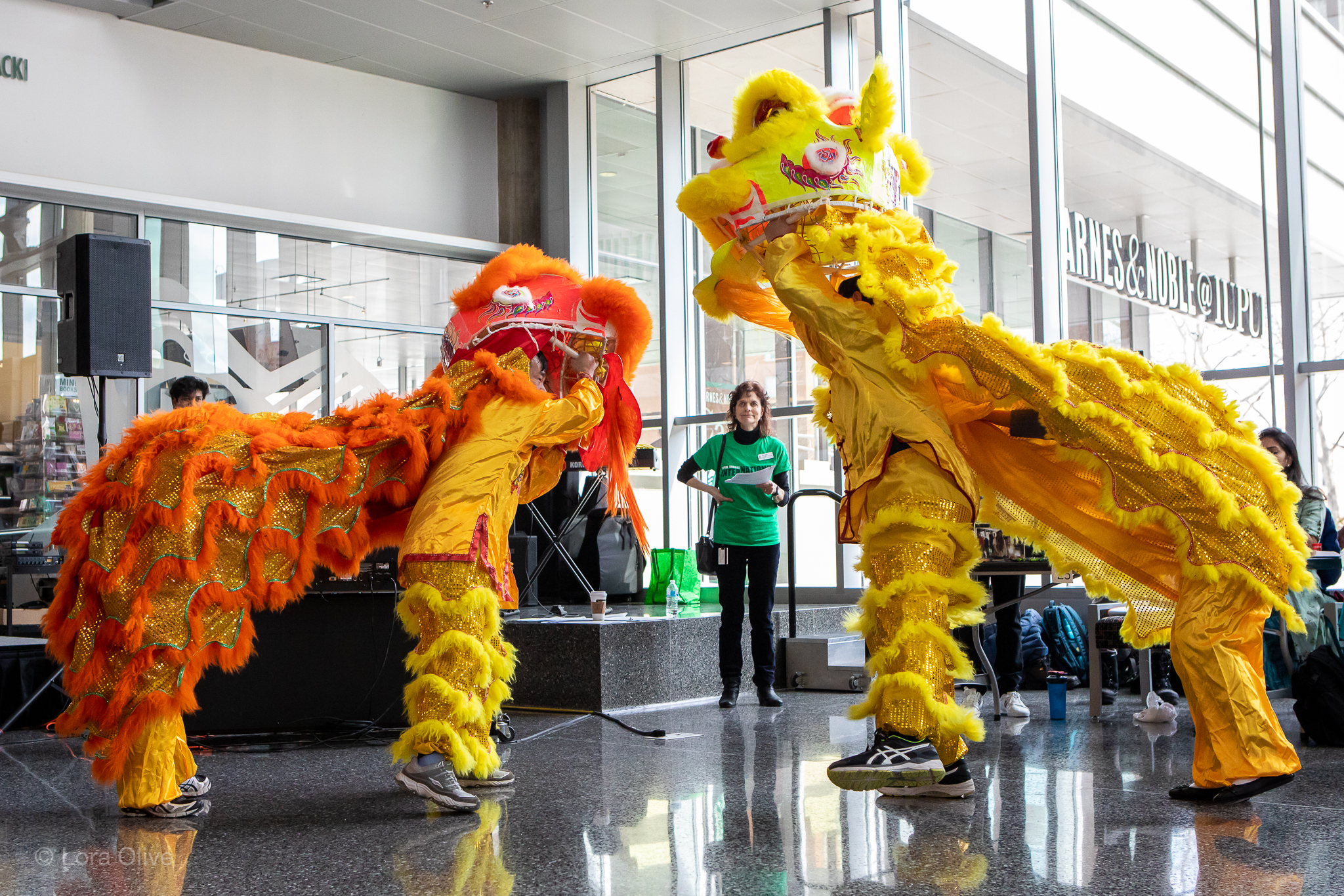 IUPUI International Festival